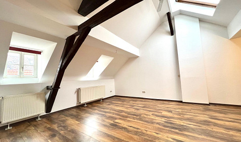 Spacious top-floor apartment in Hochheim's old town