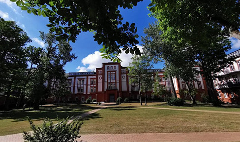 Exclusive vacation apartment in Schwerin city center