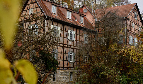 6% Rendite möglich! Renovierte 2,5 Zimmer Wohnung in historischer Mühle