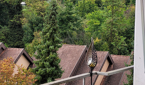 Sofort bezugsfreie 4 Zimmer-Etagenwohnung in Müllheim