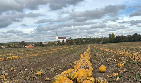 Bauplätze OHNE Bauzverpflichtung