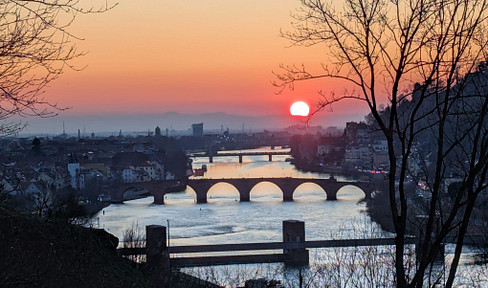 Exceptional historic villa with panoramic views - Furnished- Heidelberg