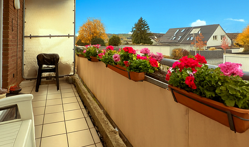 Very well divided 2-room apartment in Bergheim Niederaußem