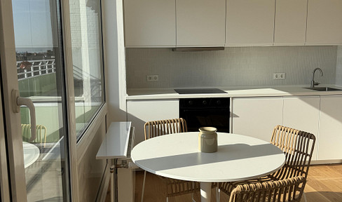 Fully furnished 1-room apartment with large roof terrace