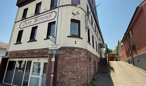 Several 1-room apartments for rent; from 350 € / plus utilities