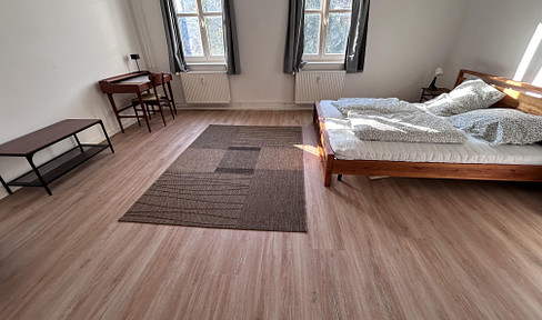 Zentrales 1,5 Zimmer Apartment nähe Boxi - Top Lage + Super Fast Internet (DSL 100) (EN below)