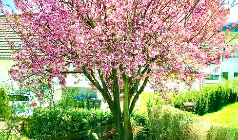 Jewel with ELW with a view