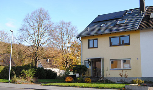 Large house for families with children and pets - without commission