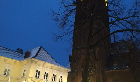 Hochwertiges PENTHOUSE mit 40 qm Süd-Dach-Terrasse, Einbau-Küche und -Schänken, Parkett