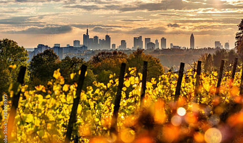 Dream garden on Frankfurt's Lohrberg