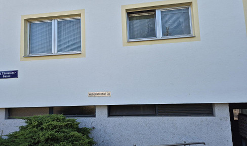 1 Zimmer Wohnung möbliert