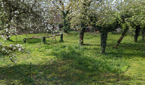 FÜR BAUTRÄGER – Baugrundstück am Hochrhein / Bodenseenähe, 1.026 m², 680.000 €