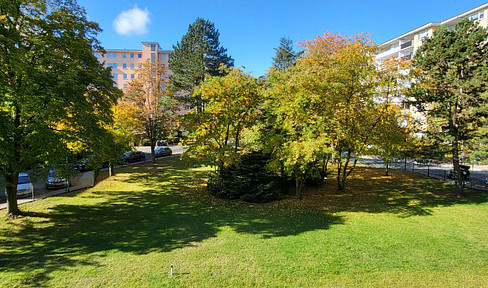 Bright 3-room-apartment + kitchen in Gravenbruch, 1st floor, available from 02/26, renovated, prov. free!!!