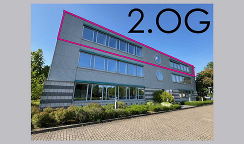 Helle Bürofläche, Jülich, 250m², Top-Lage Nähe Forschungszentrum, 11Stellplätze