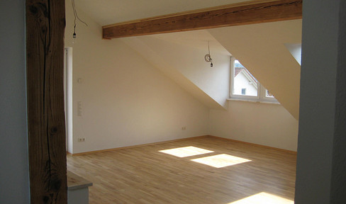 Beautiful attic apartment Hettenshausen/Jahnhöhe near Pfaffenhofen a.d.Ilm
