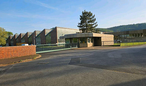 Versatile production hall & warehouse 2,800 m² + 9,400 m² open space in Wertheim-Bestenheid