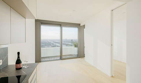 36th floor dream view over the Danube, gym, pool, wellness included, commission-free