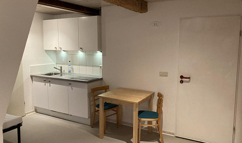 1-Zimmer-Wohnung mit Küchenzeile und Duschbad