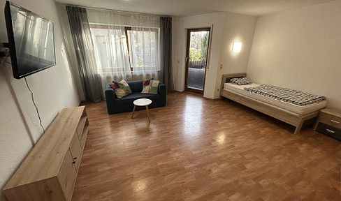 Bright, renovated 1-room apartment with balcony, furnished, and including a parking space, available immediately, no commission fees.