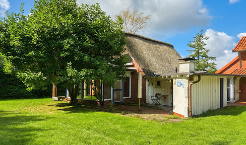 Thatched roof house with sep. vacation home near the Elbe beach Krautsand