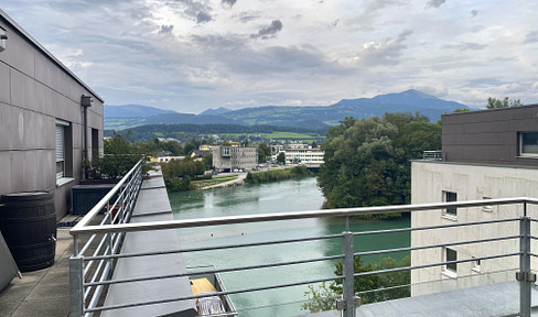 2 Zimmer Dachgeschosswohnung mit XXL Sonnenterrasse