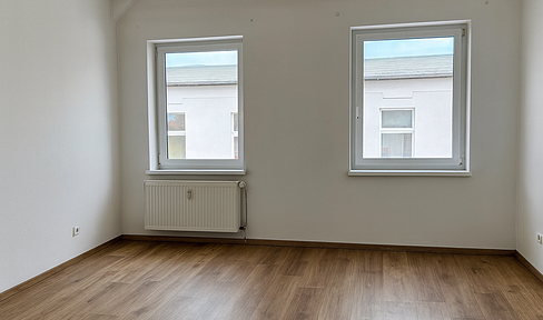 High-quality renovated old building apartment with two rooms