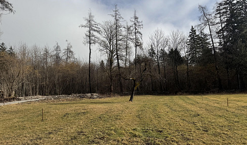 Traum Grundstück ruhig, sonnig am Waldrand - keine Maklerprovision