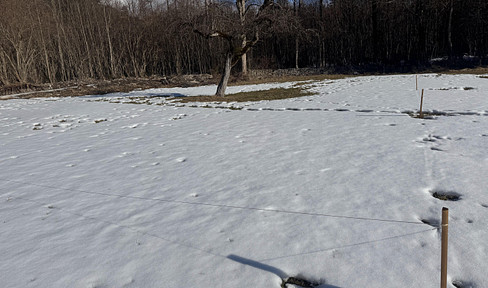 Dream property quiet, sunny on the edge of the forest - no broker's commission