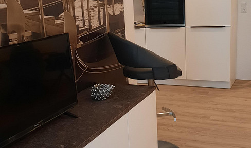 2 Zimmer-Küche-Wohnen, möbiliertes Apartment, exclusive Austattung, für Kurzzeitvermietung geeignet.