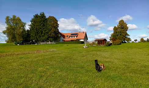 Einmalige Doppelhaushälfte inmitten des Naturschutzes