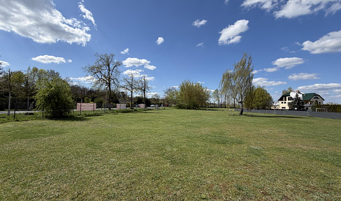 Valid until June 29, 2026: Summer Special! Sunny plot of land, 800 square meters - €159,000 - 16766 Amalienfelde.
