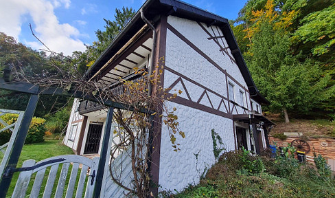 Spacious detached house with granny apartment in a prime and quiet south-facing location on the edge of the forest