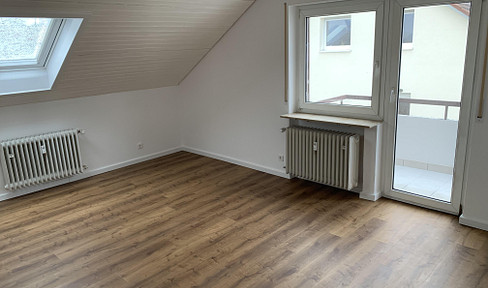 Attractive 3-room apartment with balcony / first occupancy after renovation