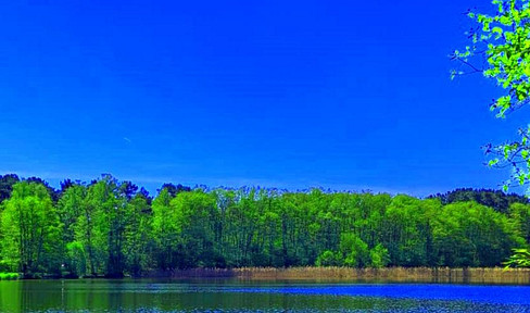 House by the lake - 1,350 m² with private lake access, only 2 min to Berlin - discreet private sale