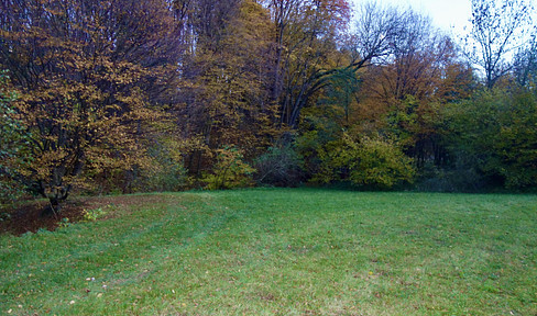 DREAMLIKE PROPERTY WITH POND AT STEINRIEGL