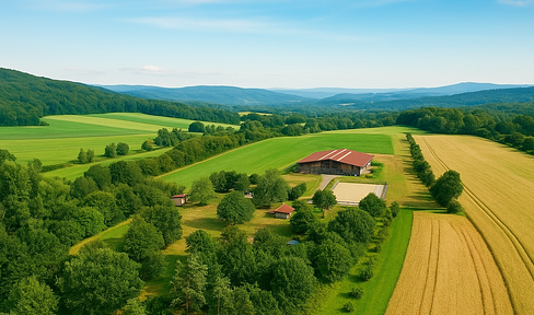 A very special natural riding facility in the south of Rhineland-Palatinate