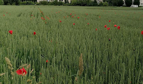 Gepflegte & sonnige 3,5-Zimmer-Penthaus Wohnung mit Weitblick in Stuttgart-Möhringen