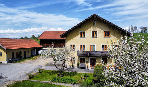 Almost secluded location! Traditional three-sided farm on the outskirts of the city - rural charm and plenty of space