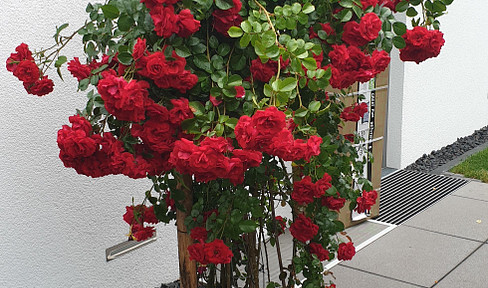 Freistehendes Einfamilienhaus