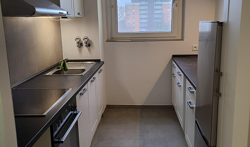 Erstbezug nach Renovierung: 3 Zimmer, Einbauküche, Balkon, Stellplatz, Abstellraum, Nähe Main