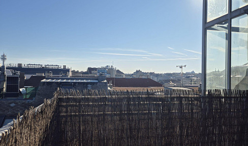 Traumhaftes Loft mit Terrasse nahe U1 - klimatisiert - provisionsfrei