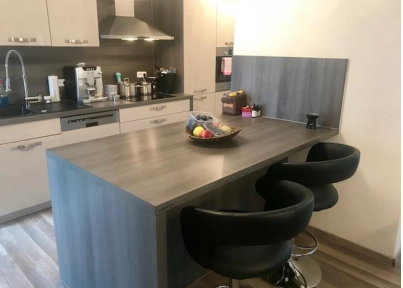 2-room apartment close to the center with garden in Schwenningen