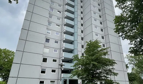 Renovated apartment with panoramic views