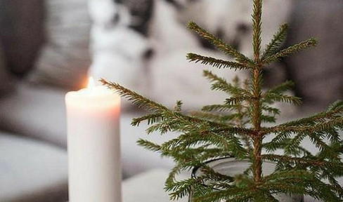 voll möblierte wohnung, die im 1.OG liegt