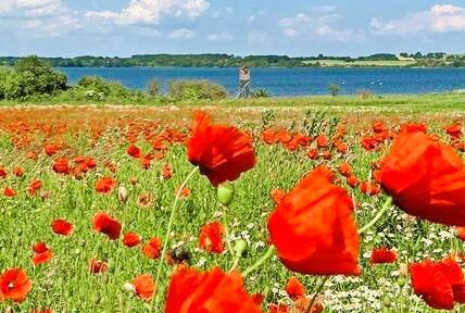 Dreamlike surroundings meet a highlight!