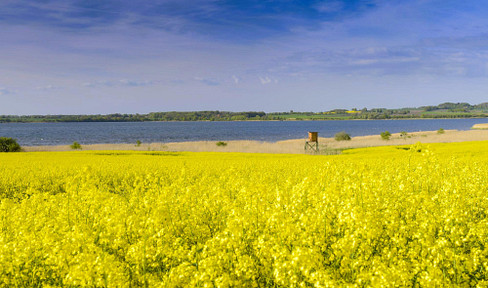 Sea (or more: "Sea!"), House, Land, Forest!