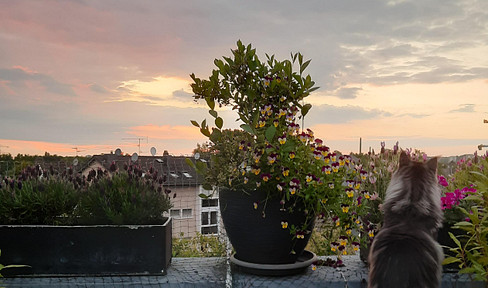 PENTHOUSE - CITY LOCATION - TWO SUNNY ROOF TERRACES! + free 1 room apartment in city location