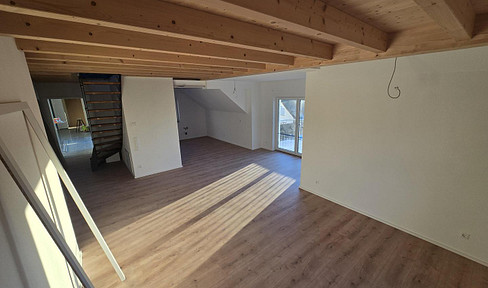 Exclusive maisonette - newly built apartment - modern open plan design in Horb a.N.