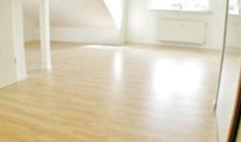 Beautiful bright attic apartment