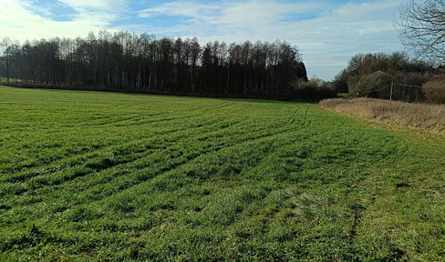 GRÜNLAND BLÖNRIED 1.7ha (green space, meadow, pasture, compensation area) Ravensburg district